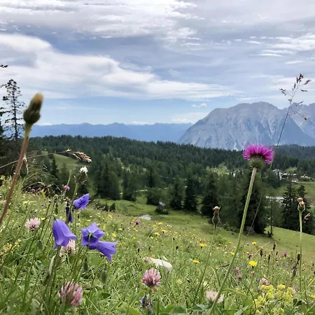 Holzchalet